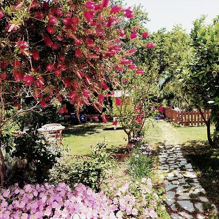 Plakias River Apartment ภายนอก รูปภาพ