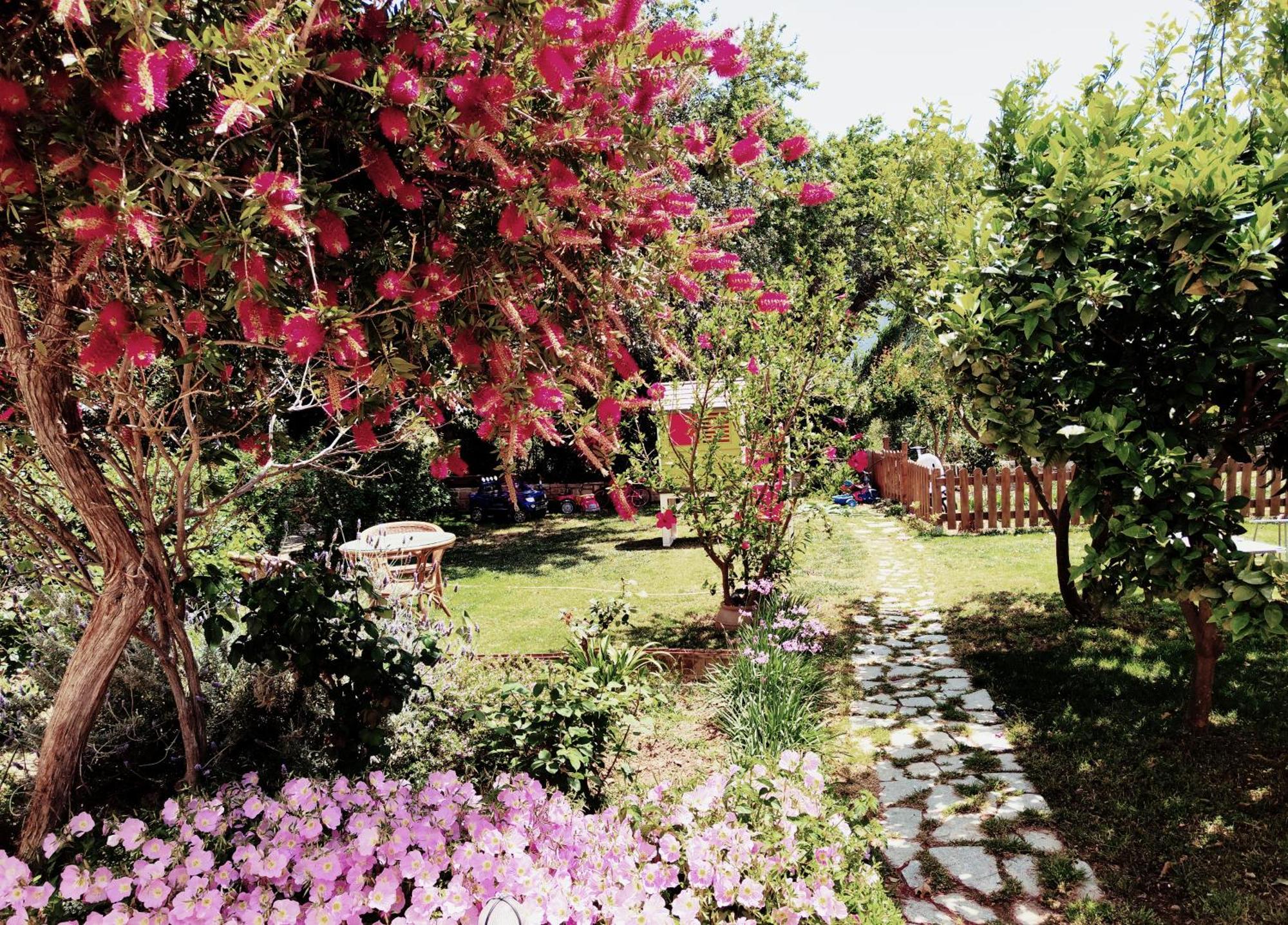 Plakias River Apartment ภายนอก รูปภาพ